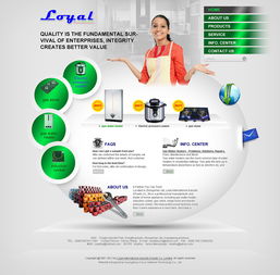 伟业铝材设计及国内代加工厂外贸网站设计 网络技术开发与设计的战略融合