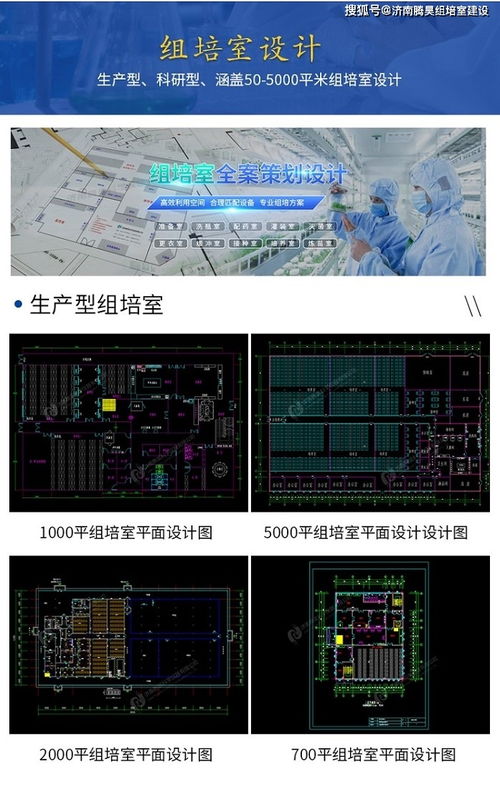 生姜组培苗工厂化生产技术及组培仪器设备清单与网络技术开发设计融合应用